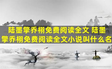 陆墨擎乔栩免费阅读全文 陆墨擎乔栩免费阅读全文小说叫什么名